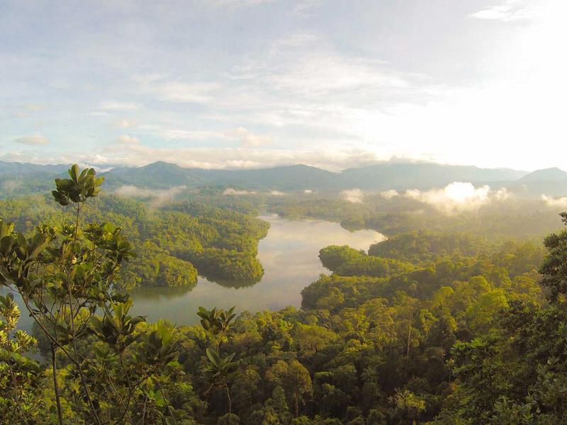 酒店试睡员<br>btozrgo.cn 枕头舒适度报告